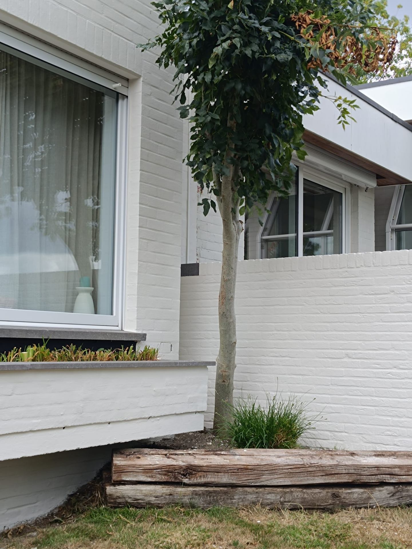 Witte gevel met boom op voorgrond