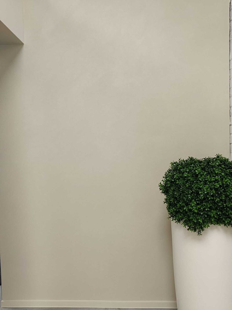 Wand met strakke groene afwerking en plantendecoratie