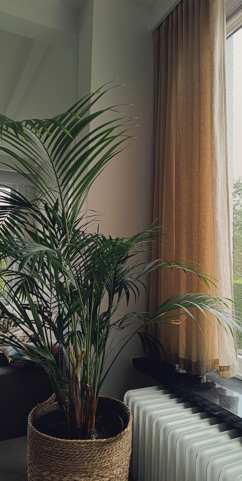 Woonkamer met warme kleurtonen en strakke afwerking